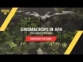 The Dinosaur Sinomacrops Tutorial