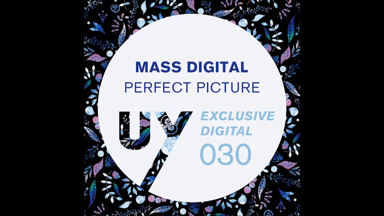 Mass Digital - Perfect Pictures