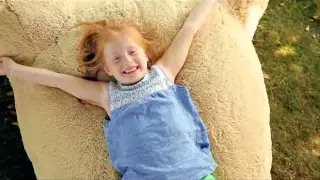 Costco 93 Plush Bear