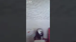 Wallaggaa Biyaa Jali Maroo 