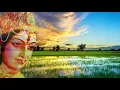 Annapurna Stotram | Powerful Hymn Of Goddess Annapurna | Annapurna Stotram With Lyrics |