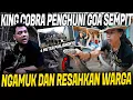 Download Lagu DETIK-DETIK PENANGKAPAN KING COBRA MONSTER PENGHUNI GOA SEMPIT !!