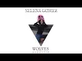 Download Lagu Selena Gomez - Wolves (Acoustic)
