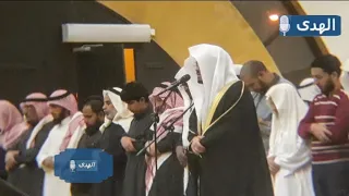 سورة البلد   ترتيل بديع وجميل للشيخ د ياسر الدوسري دندنها