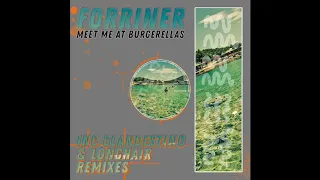 forriner cat u0026 dog stairs longhair remix 