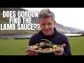 Will Gordon Ramsay Find the Lamb Sauce Cooking Lamb Chops