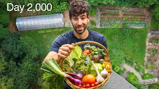 I Spent 5 Years Building a Backyard to Feed My Family