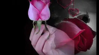 وائل جسار ياروحي غيبي 