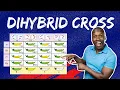 Master Dihybrid Crosses The Step-by-Step Guide to Punnett Squares Genetic Ratios