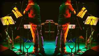 freelarmonica little sunflower live at sesc ipiranga s o paulo 2016