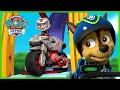 Download Lagu Chase i Wildcat powstrzymują Hau-hau Bandę i nie tylko - Psi Patrol PAW Patrol po polsku