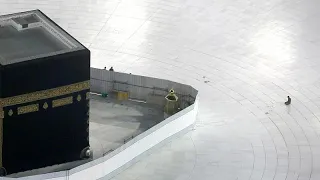 شاهد  كورونا يباعد بين الصفوف بدل رصها بصلاة التراويح في المسجد الحرام دندنها