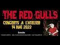 Freedom, Take A Look Around, Can't Stop. The Red Gulls live, extraits