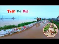 Download Lagu Nước Đã Tràn Đê Thức Trắng Đêm Cùng Bộ Đội Đấp Bờ Và Bất Ngờ Có Thêm Hai Con Dê / Quế Nghịch