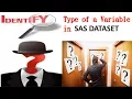 Creating Variables and Identifying type of a Variable in SAS