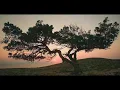 Pomegranate - L'Antidote (feat. Bijan Chemirani, Redi Hasa, Rami Khalife)