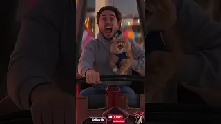 لما تقرر تاخد قطك الملاهي 