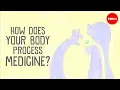 How does your body process medicine - Celine Valery