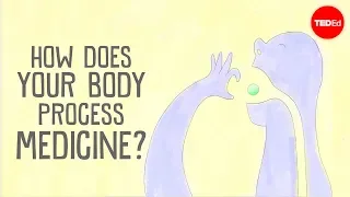 How does your body process medicine - Celine Valery