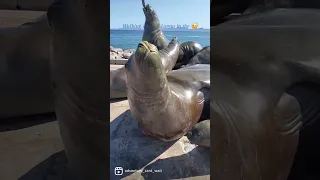 Loreto B.C.S. Mexico