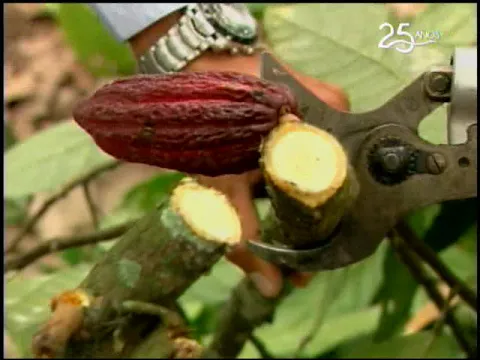 Ecuador Agropecuario 07-09-2018