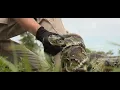 Florida s annual Python Challenge to protect the Everglades begins