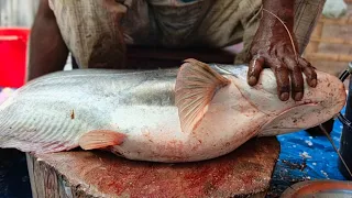 Mesmerizing Fish Cutting and Prepping ASMR.