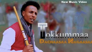 Daachaasaa Nagaasaa Tokkummaa New Afan Oromo Music Video 2025  Daachaasaa Nagaasaa Tokkummaa New Afan Oromo Music Video 2025