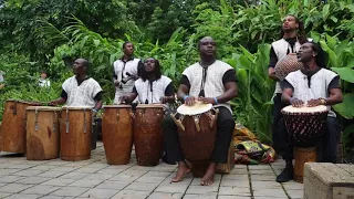 kakatsitsi live the eden project sweet