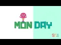 Days Of The Week | Noodle & Pals | Kids Songs