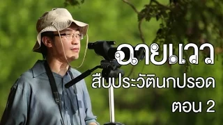 นักวิจัยวิเคราะห์เสียงร้องของนกเพื่อแยกสายพันธุ์อย่างไร