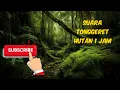 RELAKSASI SUARA TONGGERET HUTAN II 1 JAM