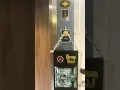 Disney Wish Cruise door decor