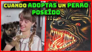 a cult a devil dog and a whole lot of bad effects summary hellhound 1978