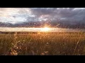 Download Lagu Miles Away - Set You Free (Lyrics in CC)