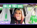 NEW DOLLAR TREE HAUL August 17 2026