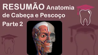 Pt. 2 Resumão Anatomia de Cabeça e Pescoço