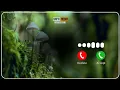Download Lagu Maher zain latest song ringtone / islamic ringtone 2020 / Maulaya Salli wasallim / Arabic ringtone