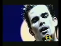 sugar ray fly