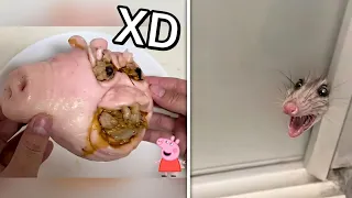 😂 VIDEO MEMES RANDOM XD #60, Si Te Ries Pierdes, Videos De Risa, Funny Fails, Try Not To Laugh 2026