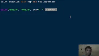 Print Function with sep and end Arguments