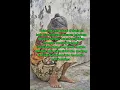Download Lagu Tidak ada yang abadi di dunia ini baik itu kehidupan ataupun kekayaan#kehidupan #yutubeshorts