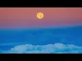 GONZY - FRIKI  (Letra)