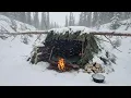 Lagu Warm Shelter in a Fallen Tree \u0026 Campfire Cooking Meat Feast. Solo bushcraft survival