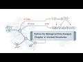 Control Structures - Tutorial Lecture 2