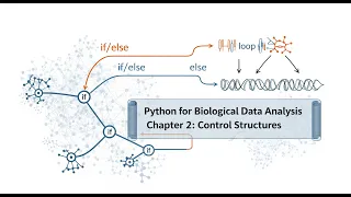Control Structures - Tutorial Lecture 2