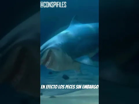 SI LOS PECES SON AMIGOS. ¿QUÉ COMÍAN? 👀😱😨 #peliculas #disney #pixar #resumen #disneyplus #cine
