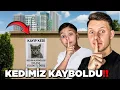 Download Lagu KEDİMİZ KAYBOLDU!!