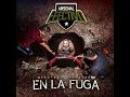 Vida Peligrosa