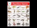 Download Lagu Reptiles Name in English#education #mk #shorts @learnwithnk5825